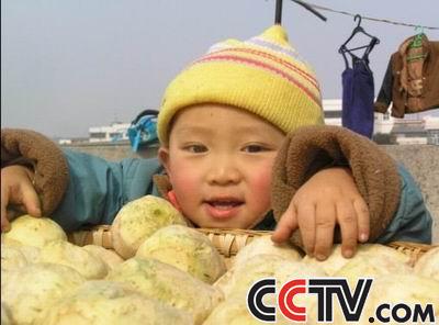 CCTV.com-小杰杰需要人工耳窝 重新为家庭带