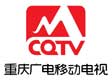 重庆广电移动电视<br>有限责任公司